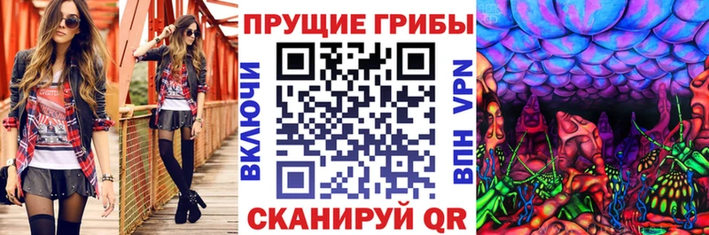 OMG ONION  Эртиль  Псилоцибиновые грибы прущие грибы  купить  сайты 