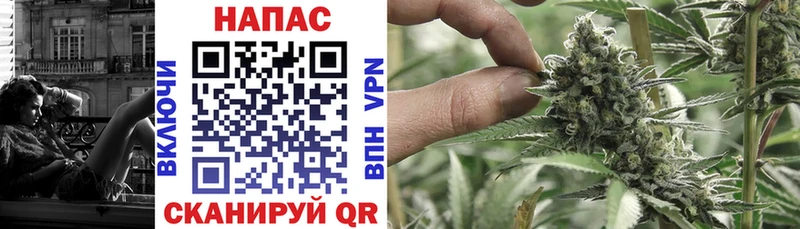 Шишки марихуана Bruce Banner  как найти   гидра   Эртиль 